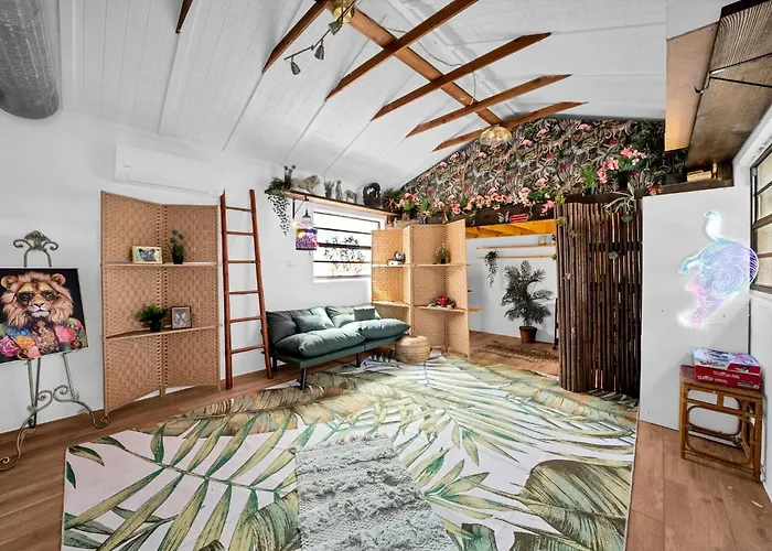Zen Jungle House By Busch Gardens Sleeps 10 With Outdoor Games And Bikes!